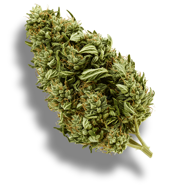 FLOR CBD